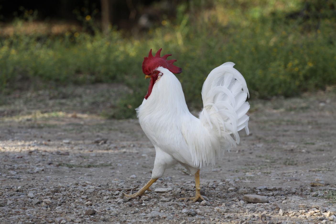 C:'Users'claudia. Claudias-PC-Pictures-2015Jimena-IMG_4112.JPG